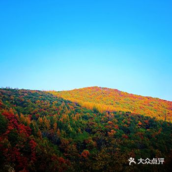 百花山是北京西部一个老牌的旅游景点