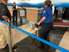 -奥黑尔国际机场