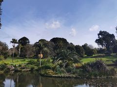 -墨尔本皇家植物园