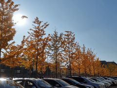 -东北大学(南湖校区)
