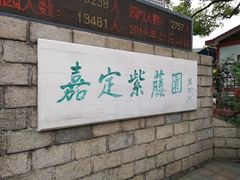 -嘉定紫藤园