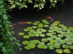 -中国茶叶博物馆(双峰馆区)