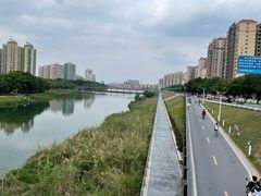 -风云岭森林公园