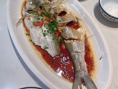 清蒸白水鱼-乌记大厨餐厅