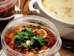 -金龙·打边炉(南京西路店)