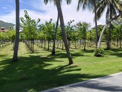 -三亚南山文化旅游区