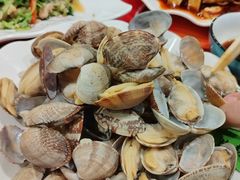 花蛤-天津乾毓德饭庄·清真传统炒菜·海鲜烧烤(咸阳路店)