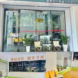 吃出新鲜健康的糖水铺就在 | 🍮新会十月满满