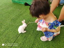 -萌宠亲子动物乐园(槐房万达店)