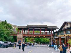 -江南天池