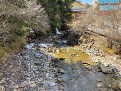 -黄龙山原始森林景区