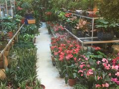 -双季花艺园艺市场(浦东店)