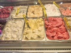 -Mio Gelato