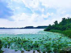 -丁香湖公园