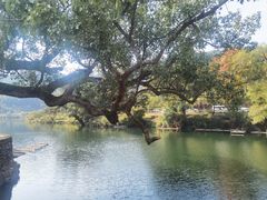 -上坦村