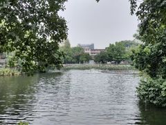 -荔湾湖公园
