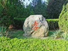 -大槐树寻根祭祖园