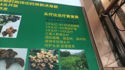 点击看大图 -环球蝶上美业连锁