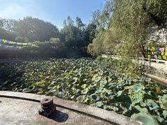 -国恩寺