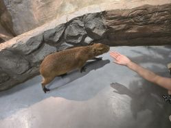 -Zoolung Zoolung动物主题公园(海信广场店)