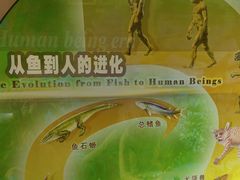 -河南自然博物馆