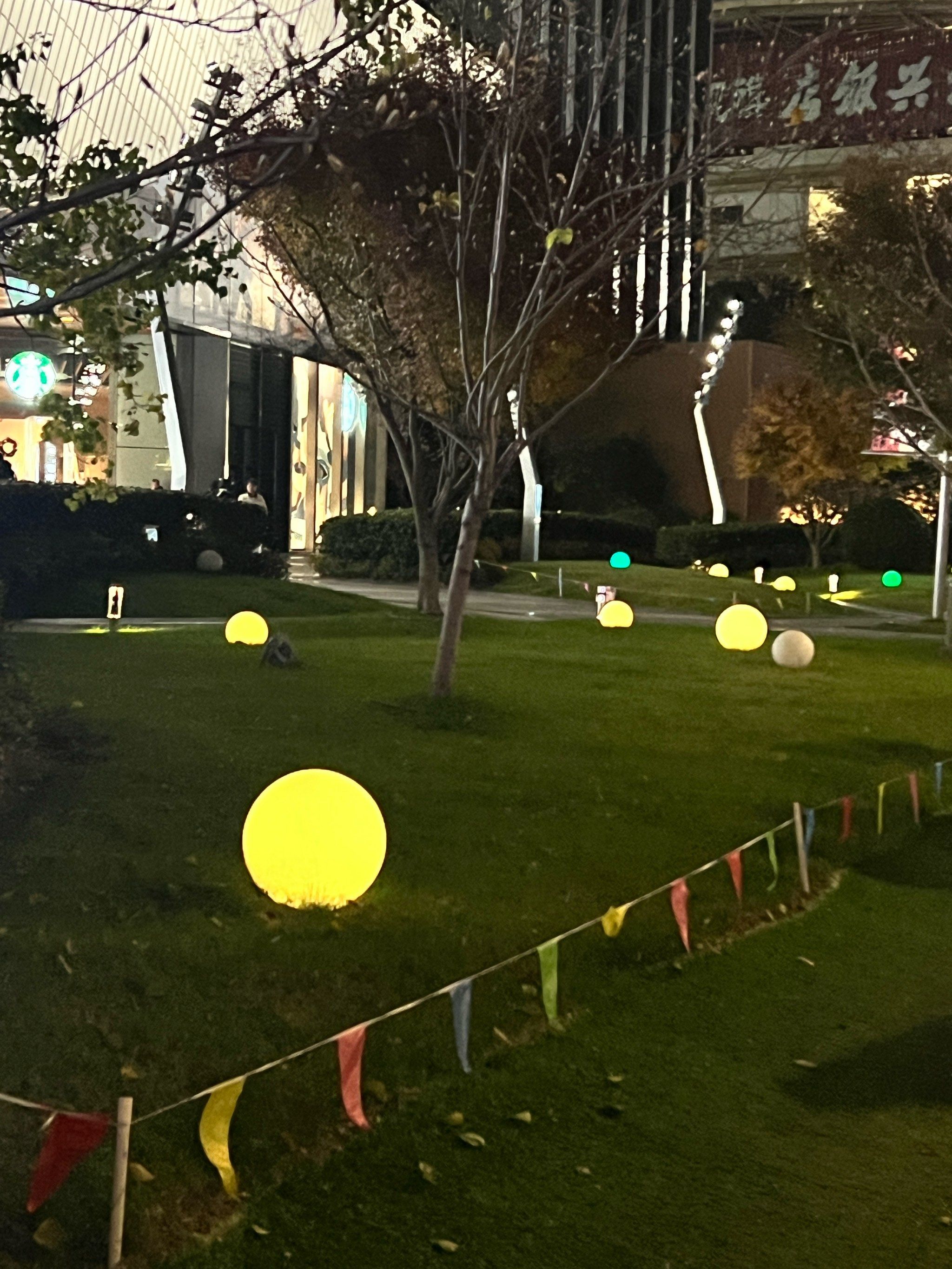 满地的小灯球好可爱