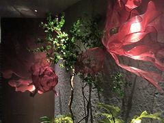 -唐宫足道·SPA·影院会馆(木渎店)