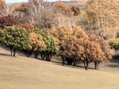 -塞罕坝国家级自然保护区