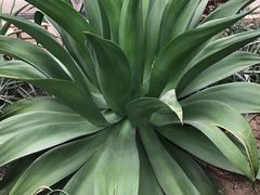 -北京植物园-展览温室
