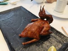 -侨美食家·40年地道粤菜(珠江新城店)