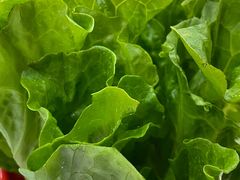 -香满锅老北京羊蝎子火锅·家常菜(新街口店)