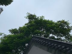 -广州神农草堂中医药博物馆