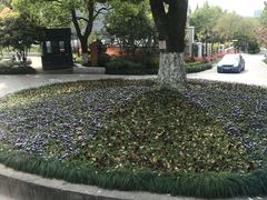 -杭州半山国家森林公园