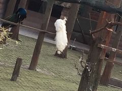 -南京金牛湖风景区