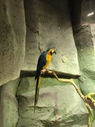 -Zoolung Zoolung动物主题公园(海信广场店)