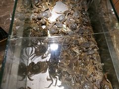 -欢乐牧场海鲜烤肉自助(牡丹园店)