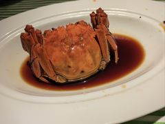 -桂满陇天书(南京德基旗舰店)