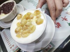 -义顺牛奶公司(新马路老店)