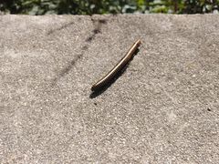 -碓臼峪自然风景区