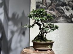 -瑞虹新天地月亮湾