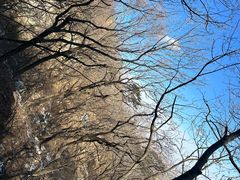 -大芦花风景区
