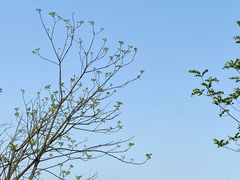 -铜锣山矿山公园