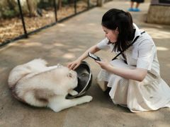 -TrueLove @ Neverland (Husky Cafe)