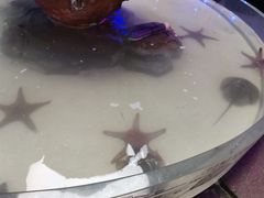-石家庄海洋公园