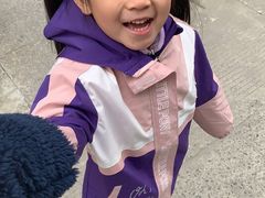 -月星环球港赢在起点早教中心·亲子托班早教体验课儿童兴趣班逻辑思维专注力幼小衔接(普陀中心)