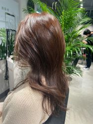 -Will+ Hair Studio