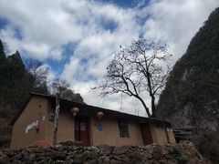 -黑河国家森林公园