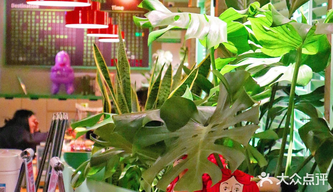 武汉想吃泰餐一定认准这家！虾饼拍手叫绝啊！