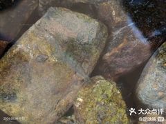 -北仑森林植物园