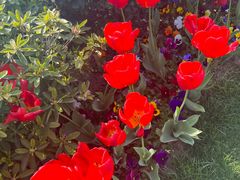 -无锡市市民中心